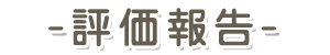 評価報告