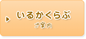 いるかくらぶ