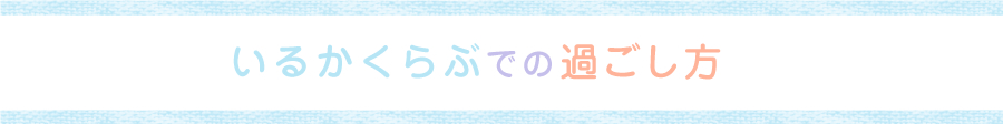 いるかくらぶでの過ごし方