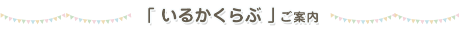 いるかくらぶのご案内